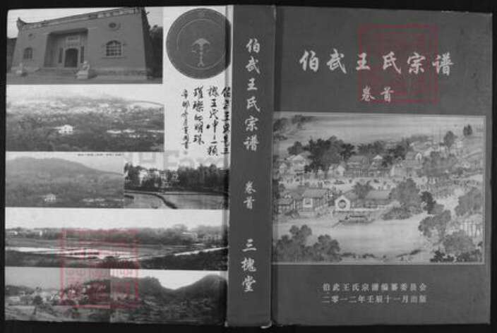 湖北省黄冈市浠水县汪岗镇王氏三槐堂族谱-伯武王氏宗谱.pdf电子版缩略图
