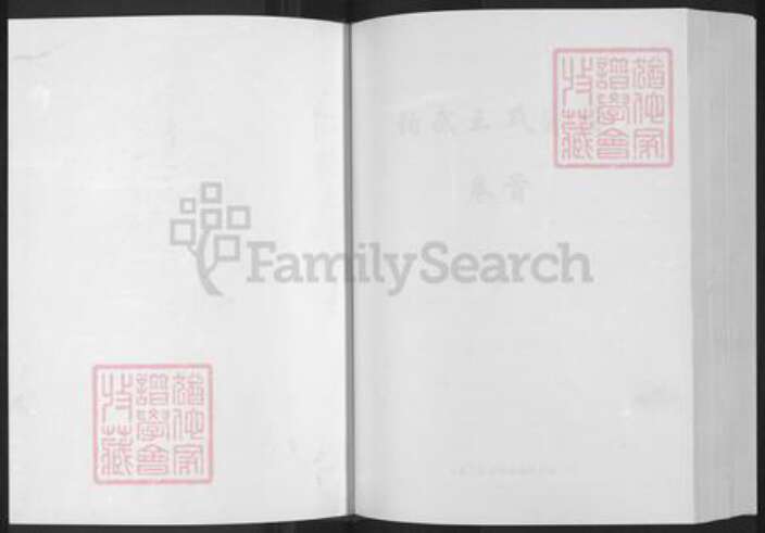 湖北省黄冈市浠水县汪岗镇王氏三槐堂族谱-伯武王氏宗谱.pdf电子版预览图1