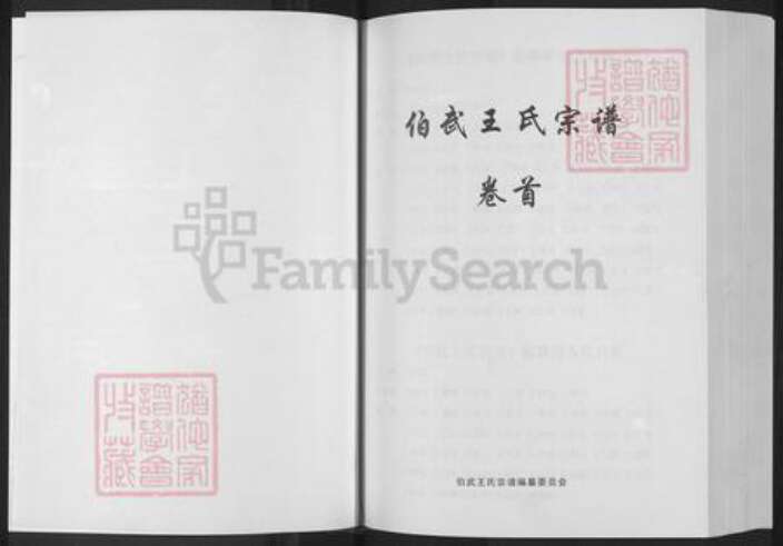 湖北省黄冈市浠水县汪岗镇王氏三槐堂族谱-伯武王氏宗谱.pdf电子版预览图2