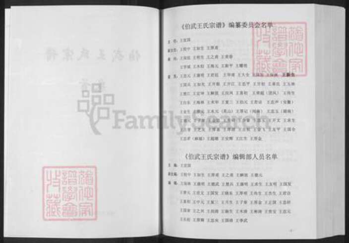 湖北省黄冈市浠水县汪岗镇王氏三槐堂族谱-伯武王氏宗谱.pdf电子版预览图3