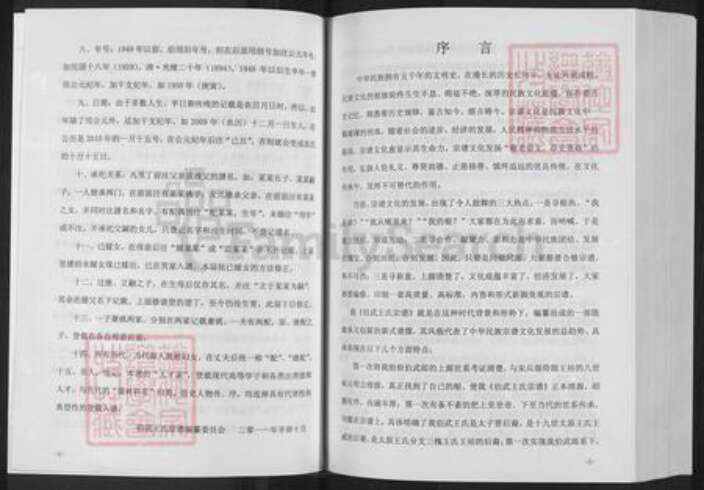 湖北省黄冈市浠水县汪岗镇王氏三槐堂族谱-伯武王氏宗谱.pdf电子版预览图5