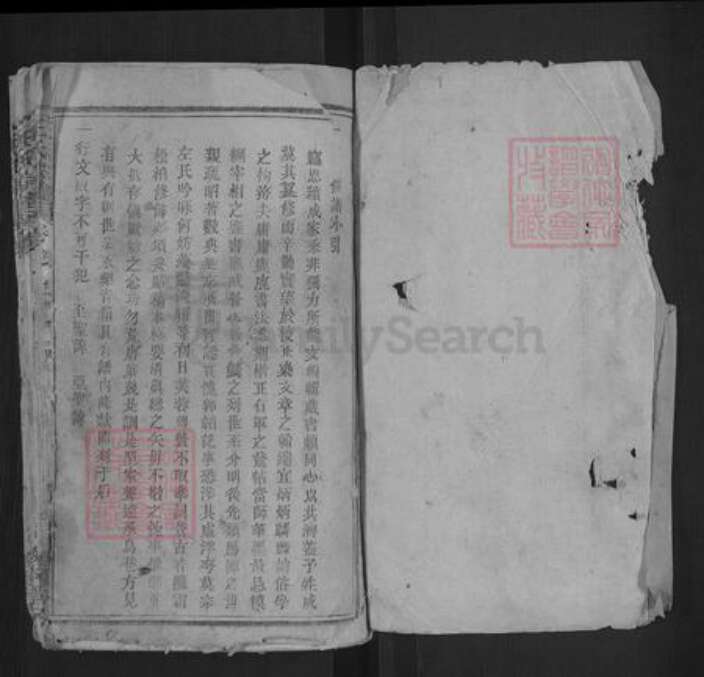 湖北省黄冈市浠水县王氏敦本堂族谱-王氏宗谱.pdf电子版预览图1