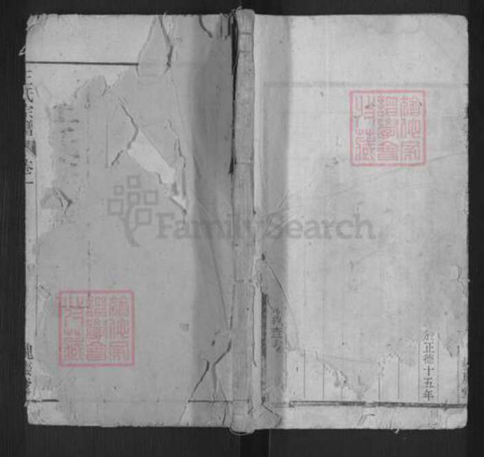 安徽省安庆市枞阳县项铺镇王氏槐庆堂族谱-炭端口王氏宗谱.pdf电子版缩略图