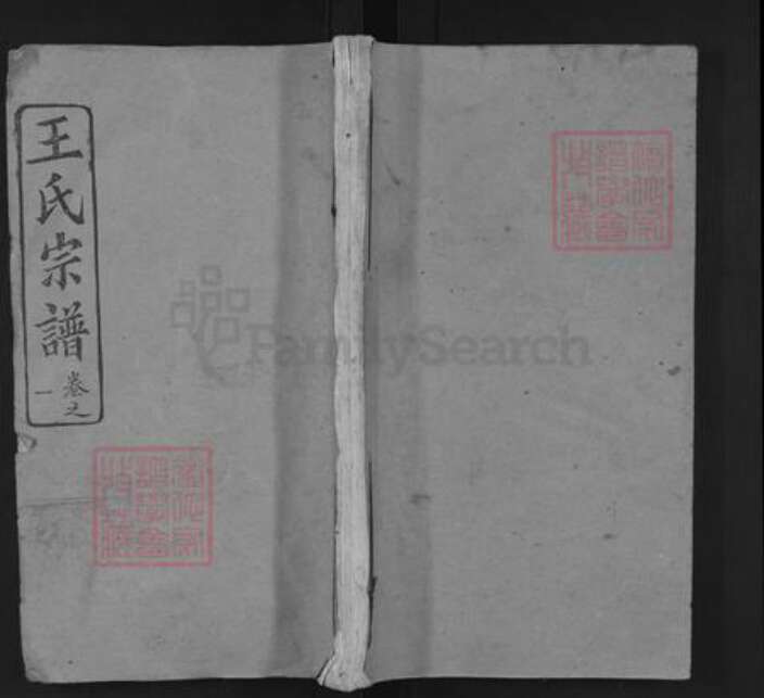 湖北省黄冈市麻城市王氏凤阁堂族谱-王氏宗谱.pdf电子版缩略图