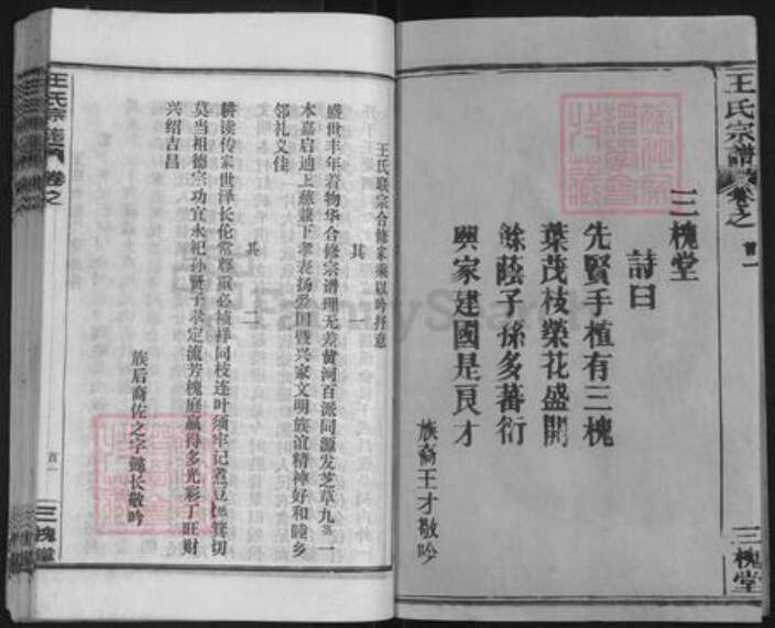 湖北省黄冈市黄州区王氏三槐堂族谱-王氏宗谱.pdf电子版预览图2