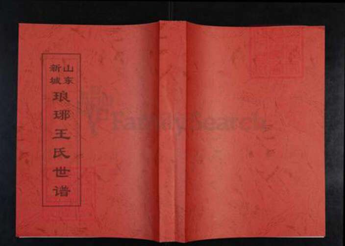 山东省淄博市桓台县新城镇王氏带经堂族谱-山东新城琅琊王氏世谱.pdf电子版缩略图