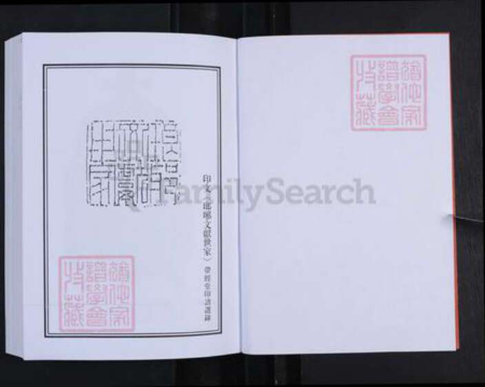 山东省淄博市桓台县新城镇王氏带经堂族谱-山东新城琅琊王氏世谱.pdf电子版预览图2