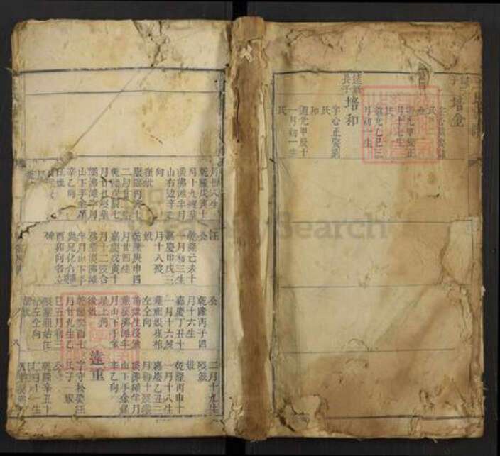 浙江省杭州市临安区区于潜镇王氏族谱-王氏族谱.pdf电子版缩略图