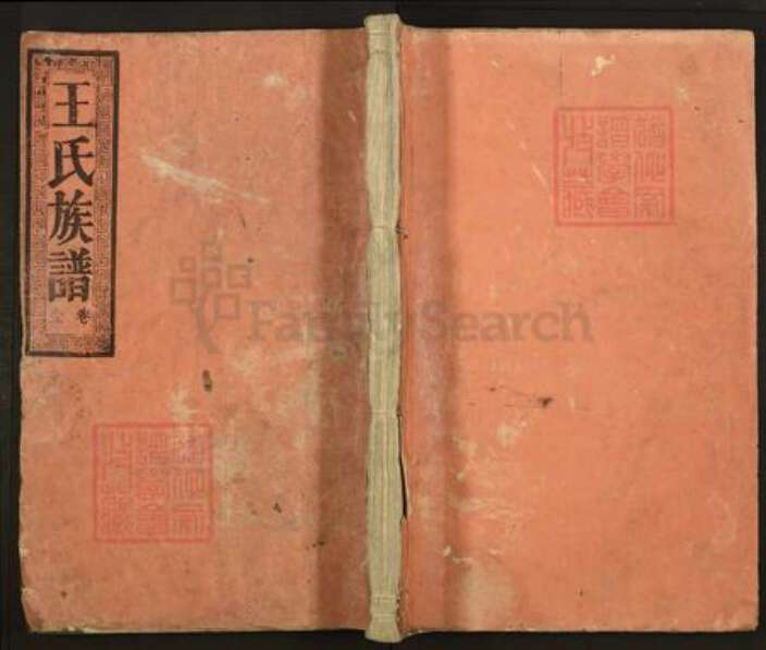 江西省吉安市泰和市王氏笃祜堂族谱-王氏族谱.pdf电子版缩略图