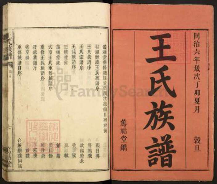 江西省吉安市泰和市王氏笃祜堂族谱-王氏族谱.pdf电子版预览图1