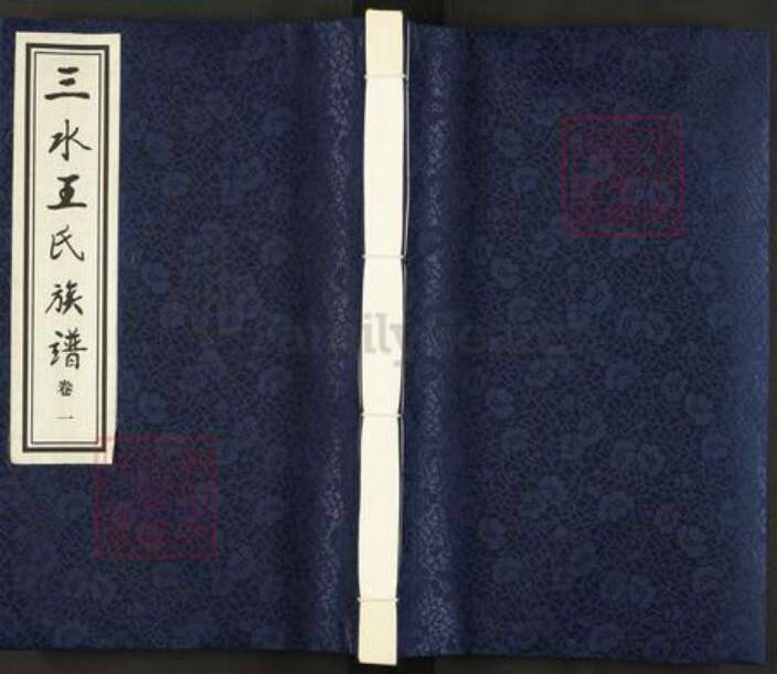 江苏省盐城市东台市安丰镇王氏乐学堂族谱-三水王氏族谱.pdf电子版缩略图