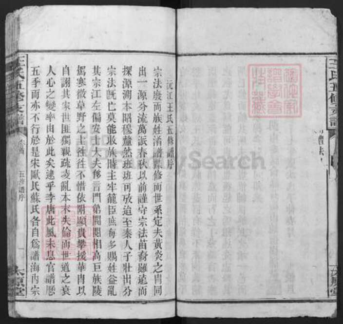 湖南省衡阳市衡阳县樟木乡王氏太原堂族谱-王氏五修支谱.pdf电子版预览图3