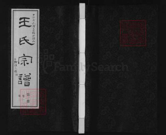 江苏省常州市武进县礼嘉镇王氏三槐堂族谱-中沙周陈王氏族谱.pdf电子版缩略图