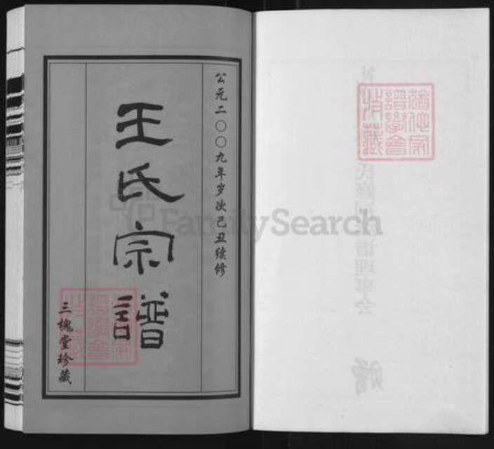 江苏省常州市武进县礼嘉镇王氏三槐堂族谱-中沙周陈王氏族谱.pdf电子版预览图2