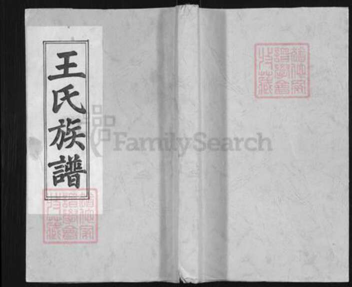 安徽省安庆市太湖县王氏族谱-王氏族谱.pdf电子版缩略图