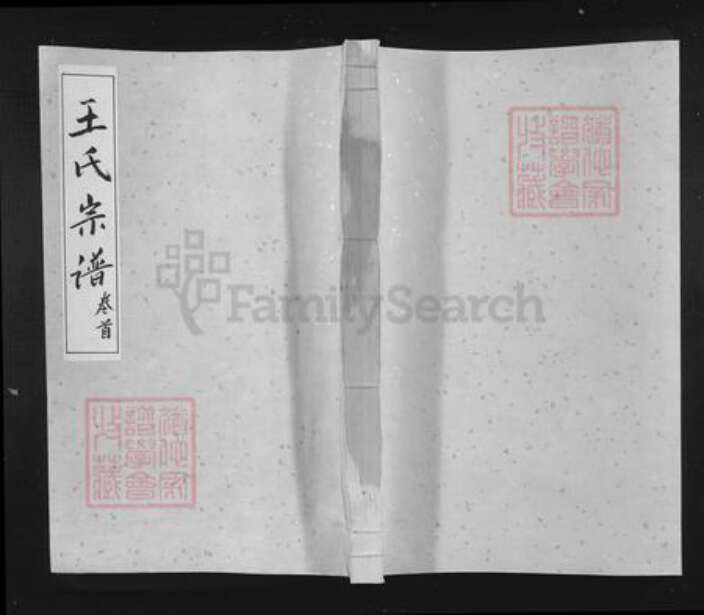 江西省上饶市余干县东塘乡王氏族谱-王氏宗谱.pdf电子版缩略图