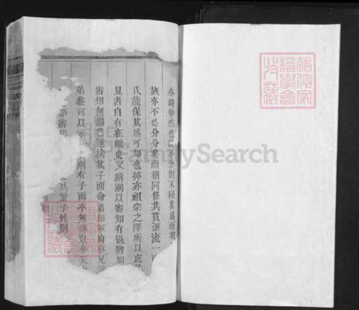 江西省上饶市余干县东塘乡王氏族谱-王氏宗谱.pdf电子版预览图1