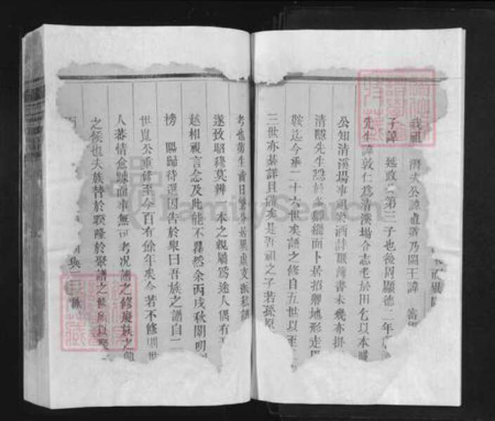 江西省上饶市余干县东塘乡王氏族谱-王氏宗谱.pdf电子版预览图4