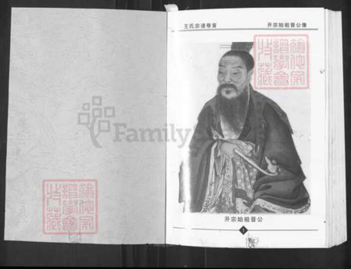 湖北省武汉市新洲区王氏三槐堂族谱-王氏宗谱.pdf电子版预览图1