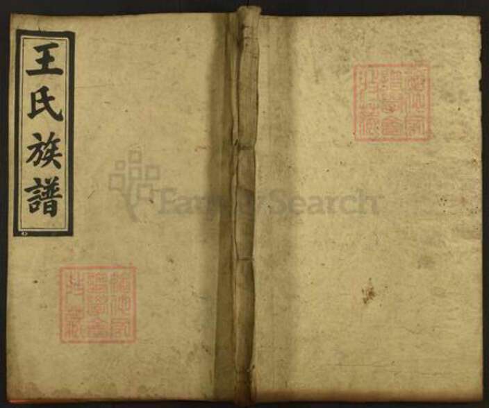 湖南省邵阳市隆回县王氏三槐堂族谱-太原王氏族谱.pdf电子版缩略图