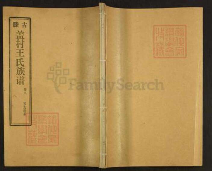 山东省枣庄市滕州市滨湖镇王氏族谱-古滕盖村王氏族谱.pdf电子版缩略图