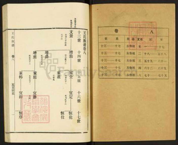 山东省枣庄市滕州市滨湖镇王氏族谱-古滕盖村王氏族谱.pdf电子版预览图1