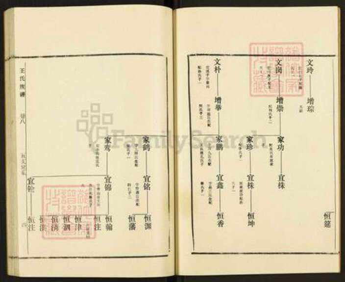 山东省枣庄市滕州市滨湖镇王氏族谱-古滕盖村王氏族谱.pdf电子版预览图3