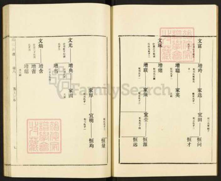 山东省枣庄市滕州市滨湖镇王氏族谱-古滕盖村王氏族谱.pdf电子版预览图4