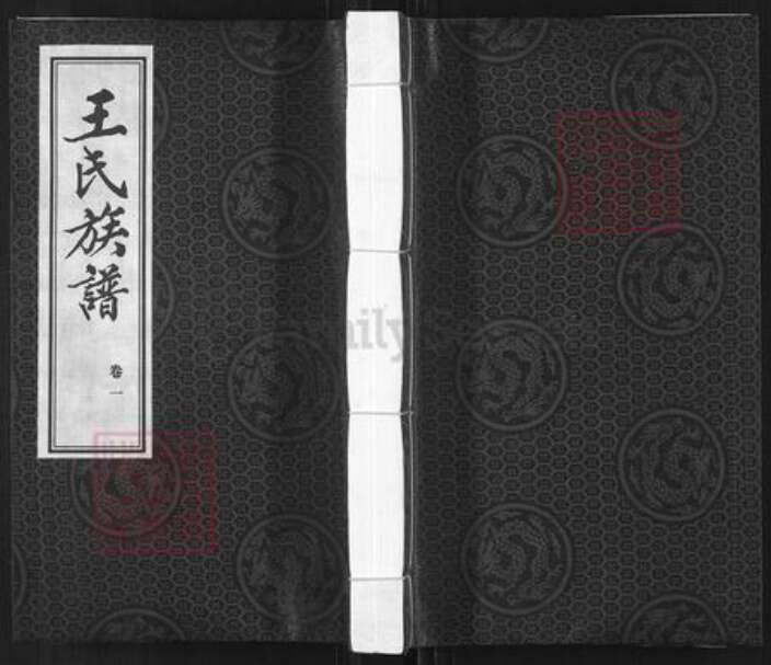 河北省邢台宁晋县凤凰镇王氏族谱-王氏族谱.pdf电子版缩略图