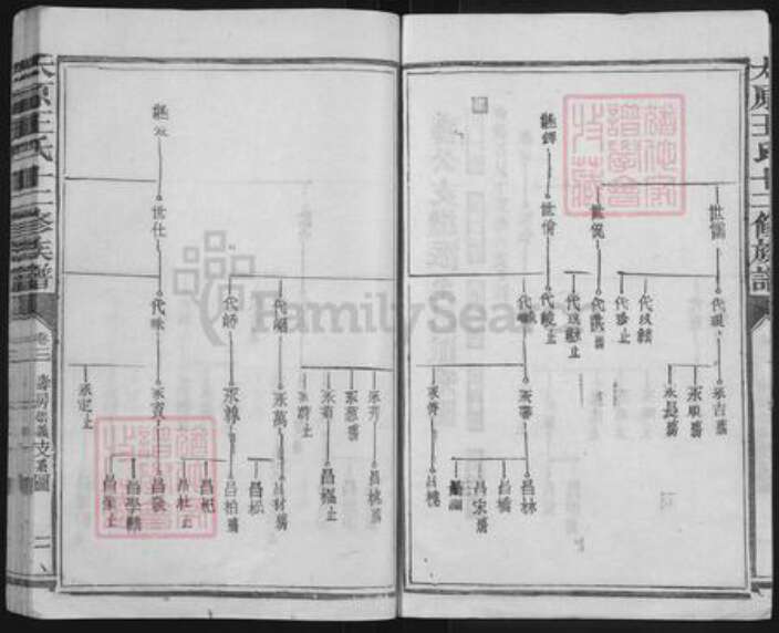 福建省三明市宁化县水茜镇王氏族谱-太原王氏十二修族谱.pdf电子版预览图2