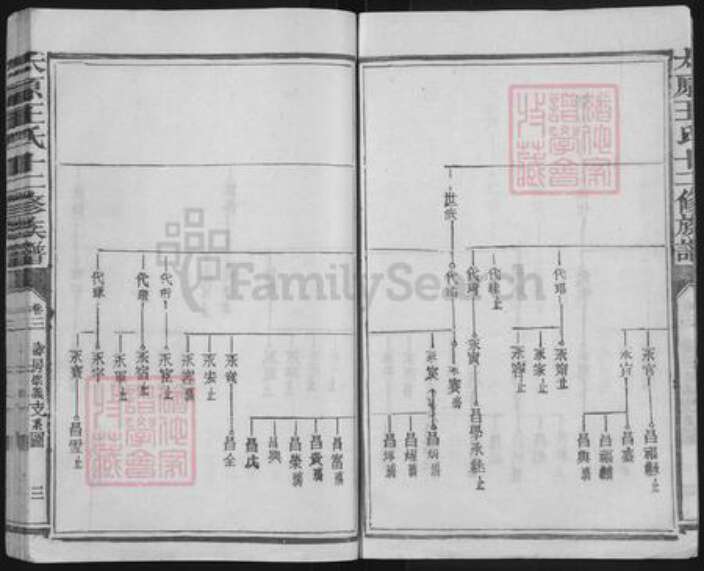 福建省三明市宁化县水茜镇王氏族谱-太原王氏十二修族谱.pdf电子版预览图3