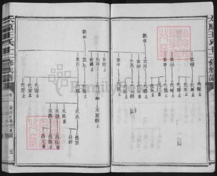 福建省三明市宁化县水茜镇王氏族谱-太原王氏十二修族谱.pdf电子版预览图5