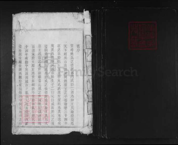 安徽省安庆市望江县鸦滩镇王氏三槐堂族谱-王氏宗谱.pdf电子版预览图1