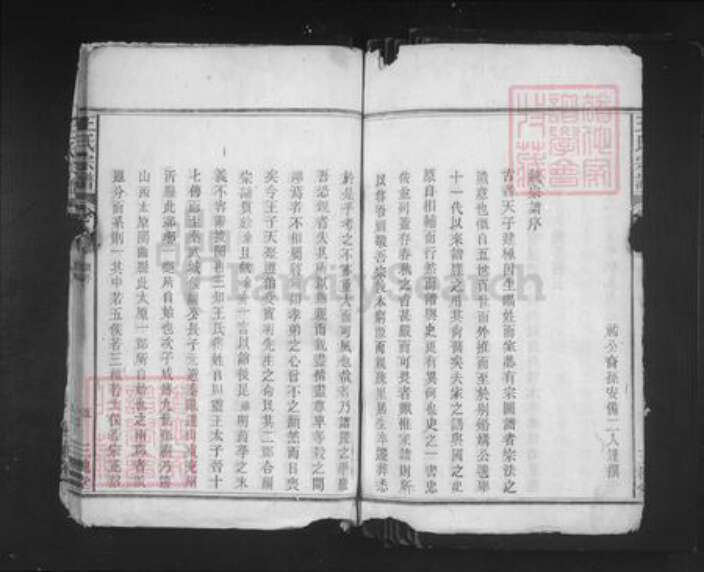 安徽省安庆市望江县鸦滩镇王氏三槐堂族谱-王氏宗谱.pdf电子版预览图5