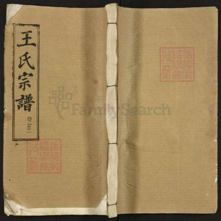 湖北省武汉市江夏区王氏三槐堂族谱-王氏宗谱.pdf电子版缩略图