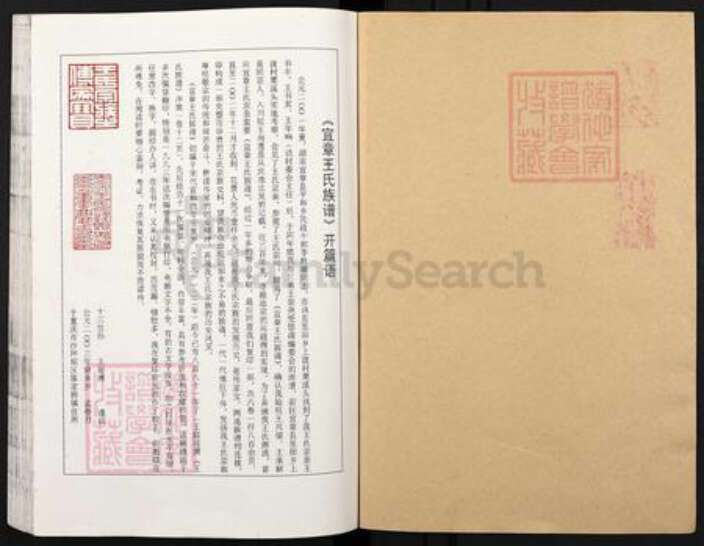 湖南省郴州市宜章县里田镇王氏族谱-宜章王氏族谱.pdf电子版预览图1