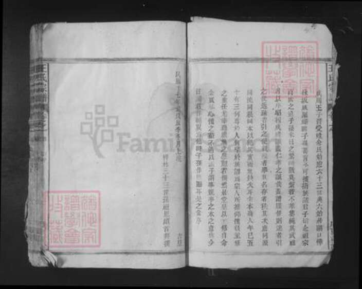 江西省九江市湖口县王氏族谱-王氏宗谱.pdf电子版预览图2