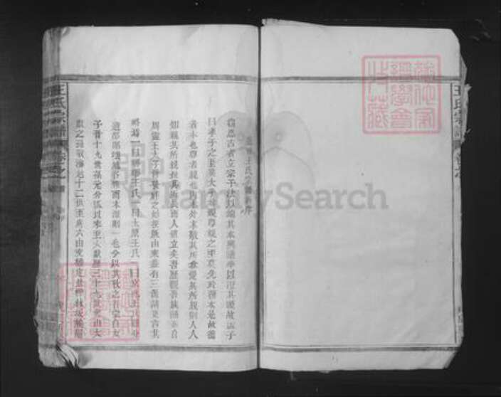江西省九江市湖口县王氏族谱-王氏宗谱.pdf电子版预览图3