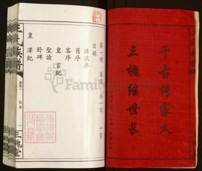 湖南省常德市汉寿县王氏三槐堂族谱-王氏族谱.pdf电子版预览图2
