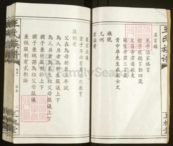 湖南省常德市汉寿县王氏三槐堂族谱-王氏族谱.pdf电子版预览图3