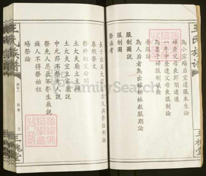 湖南省常德市汉寿县王氏三槐堂族谱-王氏族谱.pdf电子版预览图4