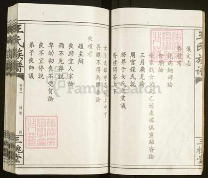 湖南省常德市汉寿县王氏三槐堂族谱-王氏族谱.pdf电子版预览图5