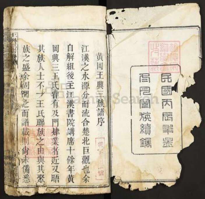 湖北省武汉市新洲区王氏光裕堂族谱-王兴三宗谱.pdf电子版预览图2