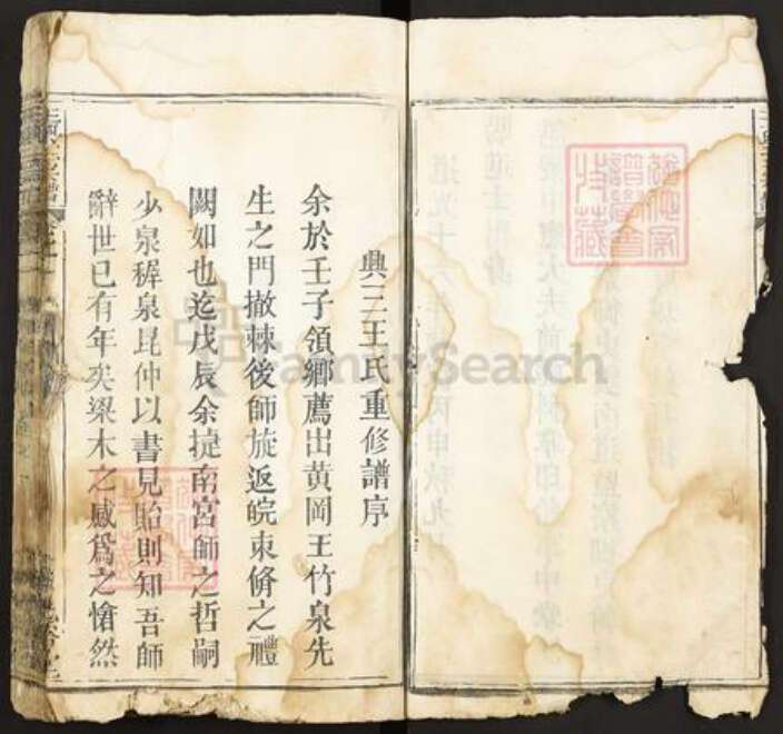 湖北省武汉市新洲区王氏光裕堂族谱-王兴三宗谱.pdf电子版预览图5