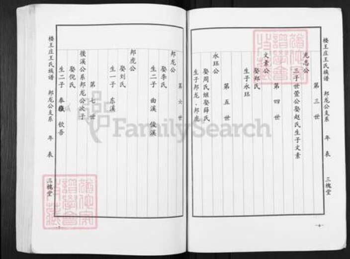江苏省盐城市盐都区楼王镇王氏三槐堂族谱-楼王庄王氏族谱.pdf电子版预览图3