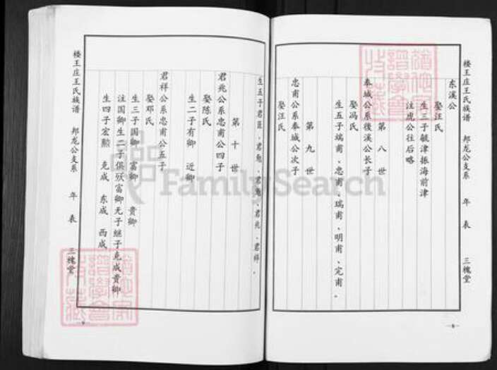江苏省盐城市盐都区楼王镇王氏三槐堂族谱-楼王庄王氏族谱.pdf电子版预览图4