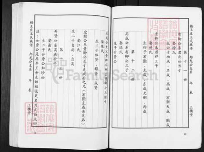 江苏省盐城市盐都区楼王镇王氏三槐堂族谱-楼王庄王氏族谱.pdf电子版预览图5