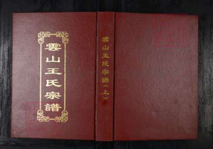 山东省青岛市平度市王氏族谱-云山王氏宗谱.pdf电子版缩略图