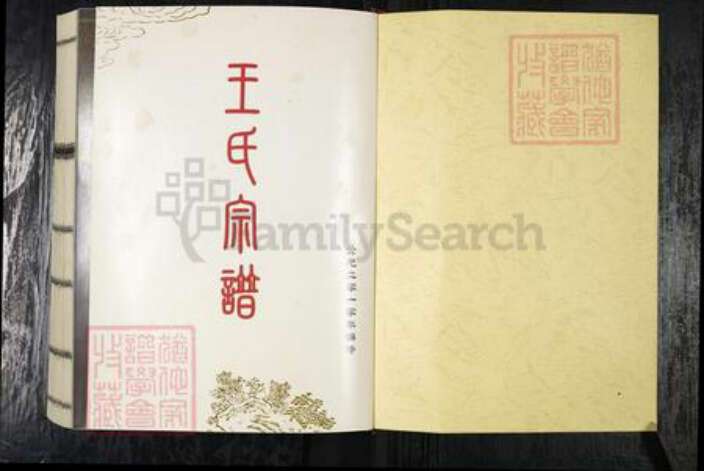 山东省青岛市平度市王氏族谱-云山王氏宗谱.pdf电子版预览图1