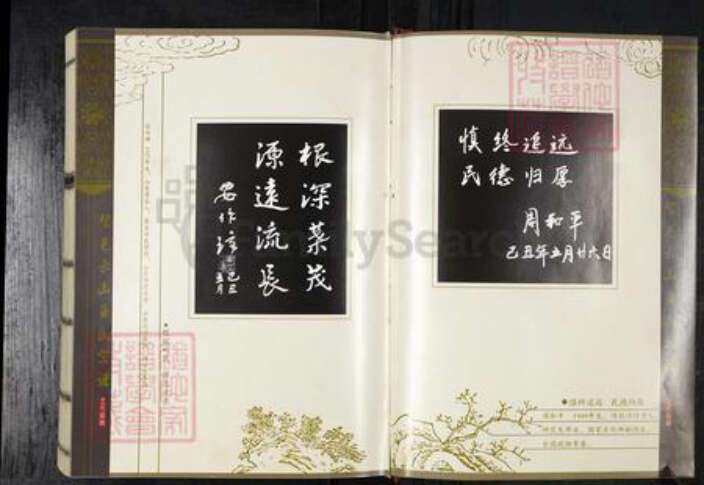 山东省青岛市平度市王氏族谱-云山王氏宗谱.pdf电子版预览图2